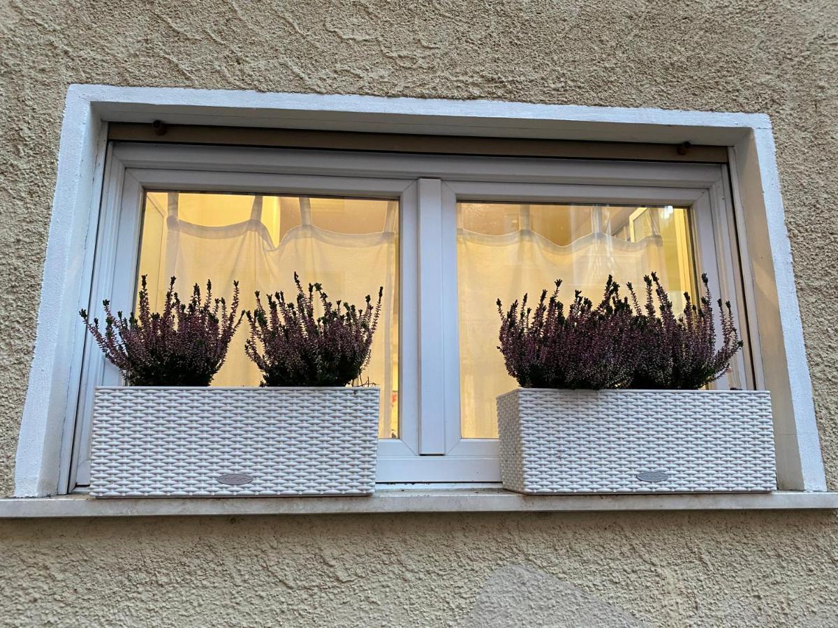 Samy S Home 1 Free Parking Wi-Fi Bolzano Kültér fotó